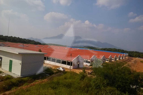 太原建材市場什么樣的樹脂瓦質量好